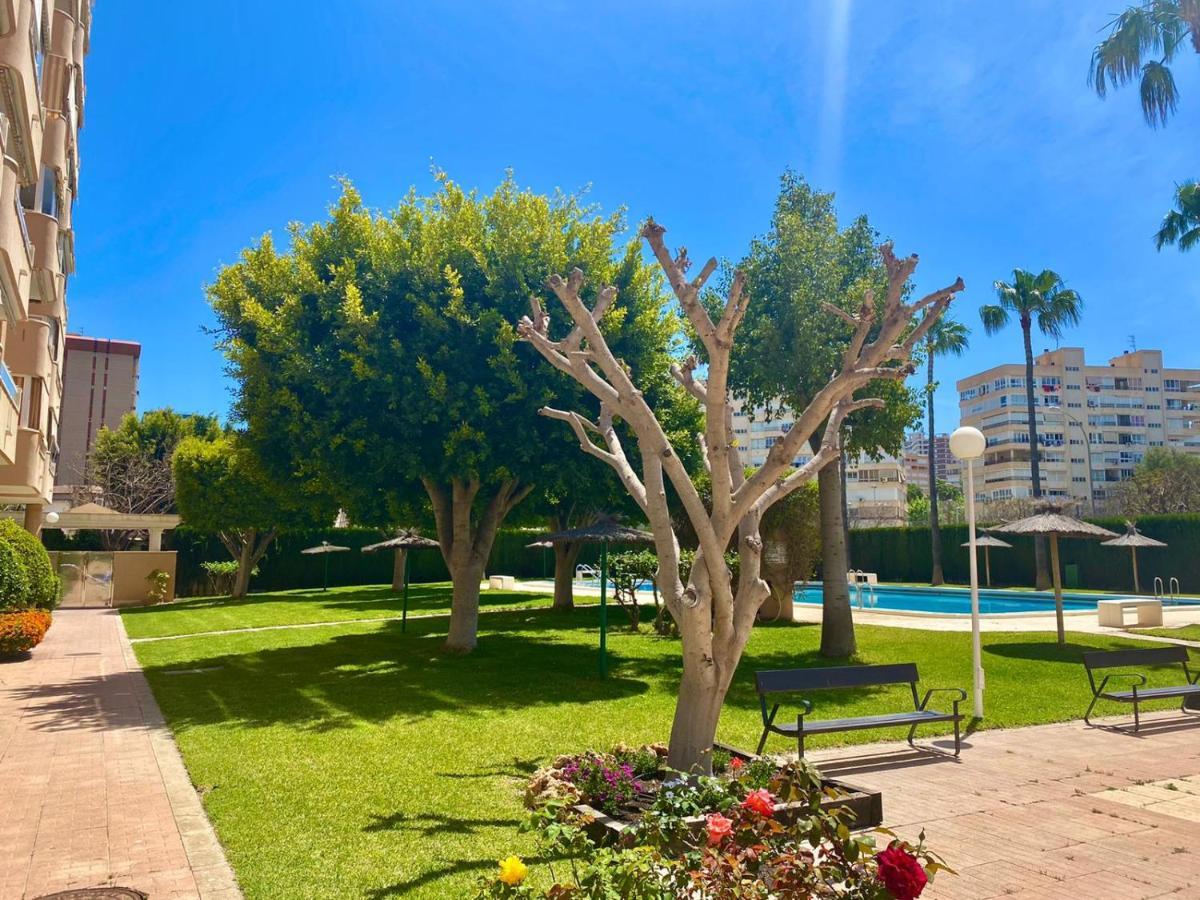 Apartamento Atenas Piscina 4 Pax, Inmobiliaria Leo Playa De San Juan Alicante Eksteriør bilde